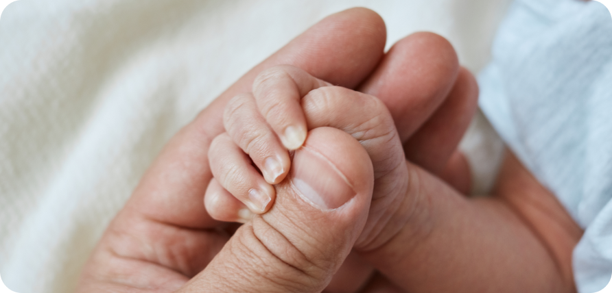 Правительство Нижегородской области увеличит число региональных квот на экстракорпоральное оплодотворение