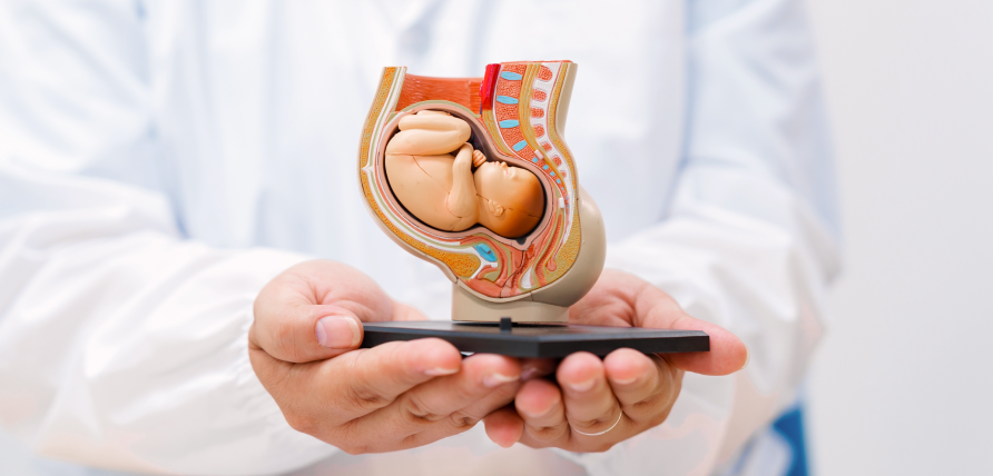 Врачи и психологи начнут получать деньги за сохранение беременности